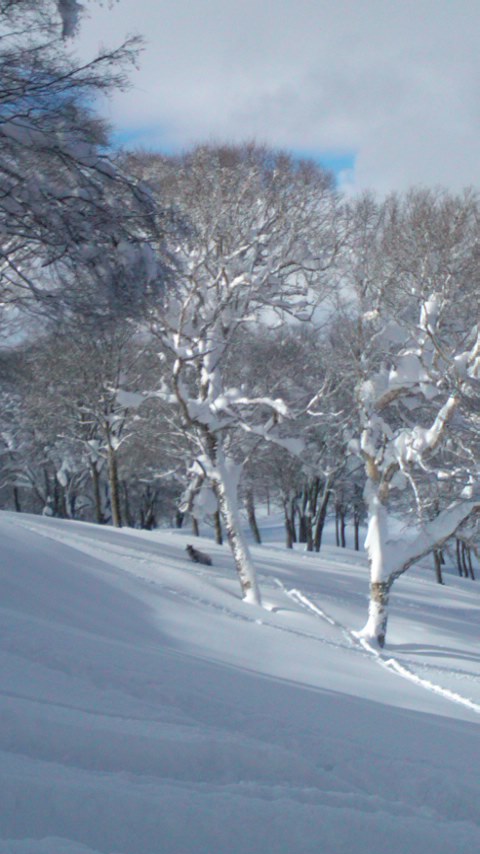 120112_1315~01.jpg