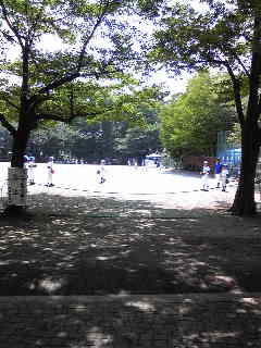 100704_130508.jpg