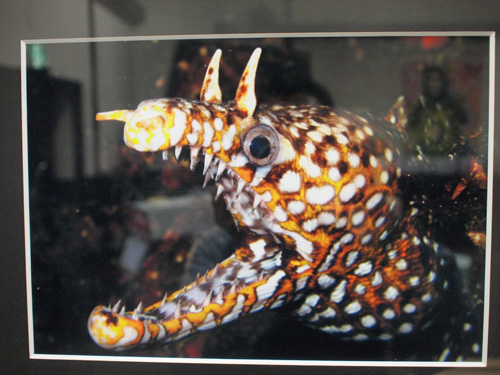 グループ展