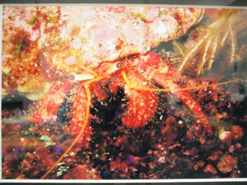 グループ展