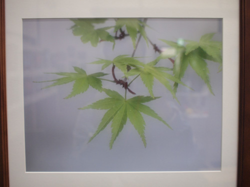 グループ展