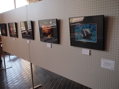 ポップライフワークス作品展