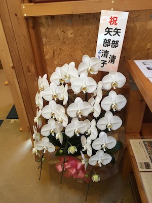 胡蝶蘭