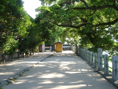 DSC00301.JPG