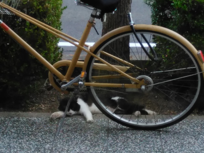 お盆の営業時間