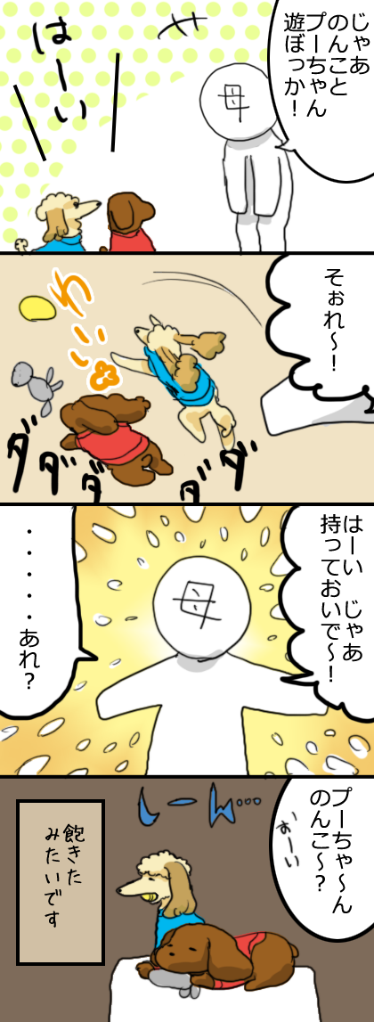 とってこない