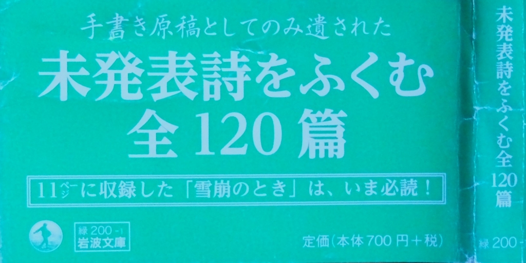 生きることの原形を見ようとする視線と、その生の愛し方ー『石垣 生きることの原形を見ようとする視線と、その生の愛し方ー『石垣