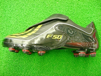 f50 2009