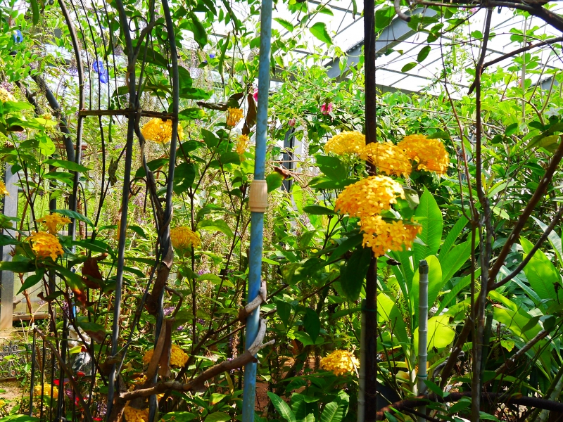 P1050600.JPG