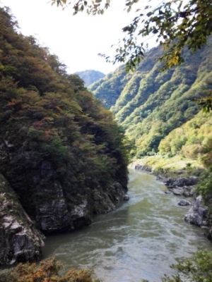 紅葉情報 赤芝峡 小国町観光協会の最新情報