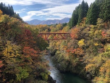 赤芝峡 新田橋 黒沢峠の紅葉情報 小国町観光協会の最新情報