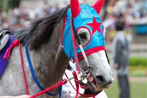 4ヶ月振りの帰厩 お騒がせ馬スダチくん そして事件発生 武幸四郎また 競馬無料予想サイト