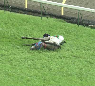 4ヶ月振りの帰厩 お騒がせ馬スダチくん そして事件発生 武幸四郎また 競馬無料予想サイト