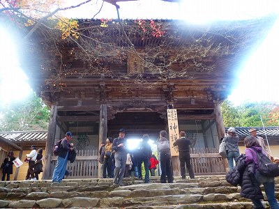 大きさに圧倒されそうです。