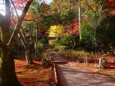 地蔵院周辺です。