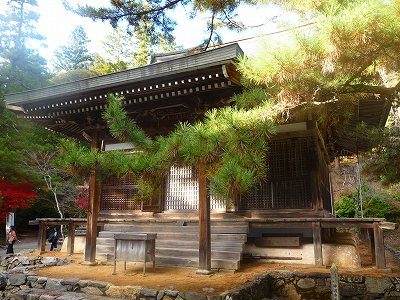 周辺もよく手入れされておられます。