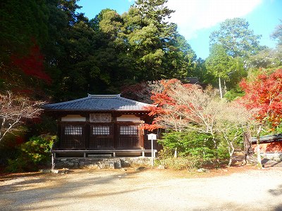 晴れてると本当に綺麗です