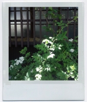 アトリエうめ庵