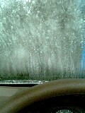 20060319_148600.jpg