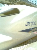 20060331_156054.jpg