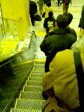 20060402_157312.jpg