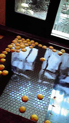 2013020314530000.jpg