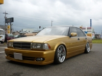 Y31