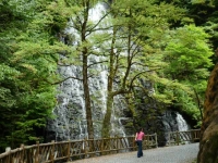 龍双ヶ滝