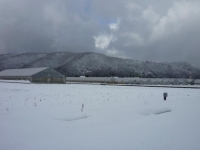 雪景色
