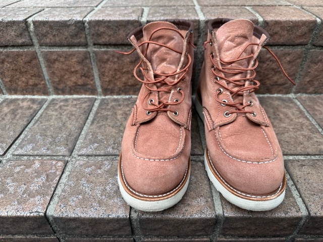 レッドウイング！！新しいアイリッシュセッター！！ | JUNKY