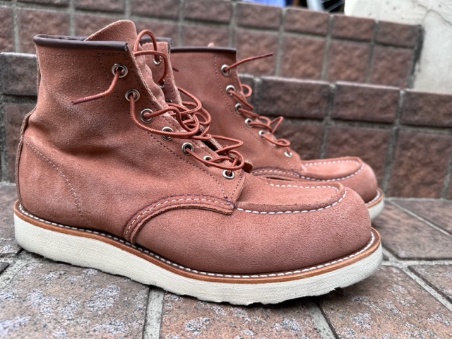 レッドウイング！！新しいアイリッシュセッター！！ | JUNKY CLASSICS