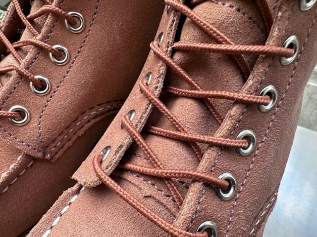 レッドウイング！！新しいアイリッシュセッター！！ | JUNKY