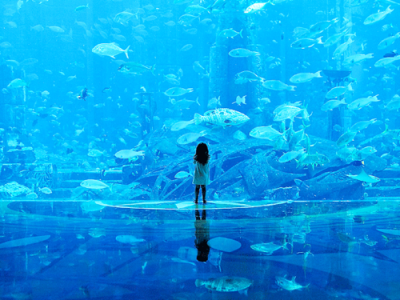 影の画像