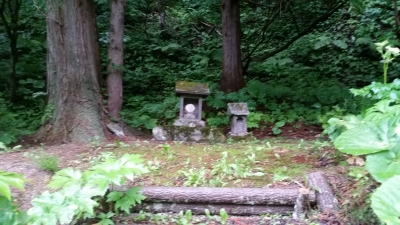 20150609_091342.jpg