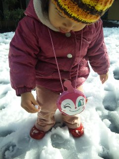 120229_15323911.jpg