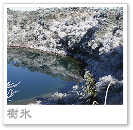 えびの高原の樹氷