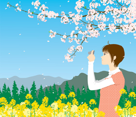 桜と菜の花イラスト