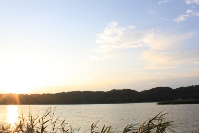 2010.9.19º´ÌĸУ±