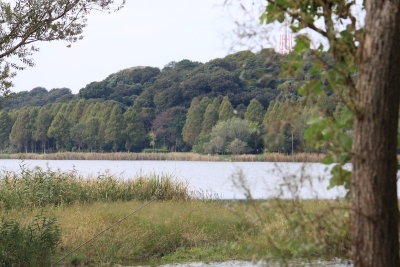 2010.10.24º´ÌĸÐ1