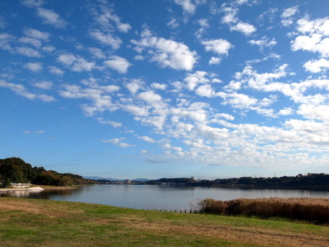 R0012759.JPG