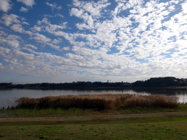 R0012761.JPG