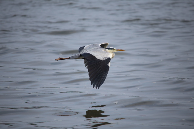 IMG_4779.JPG