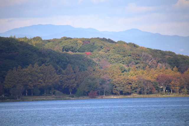 IMG_5196.JPG