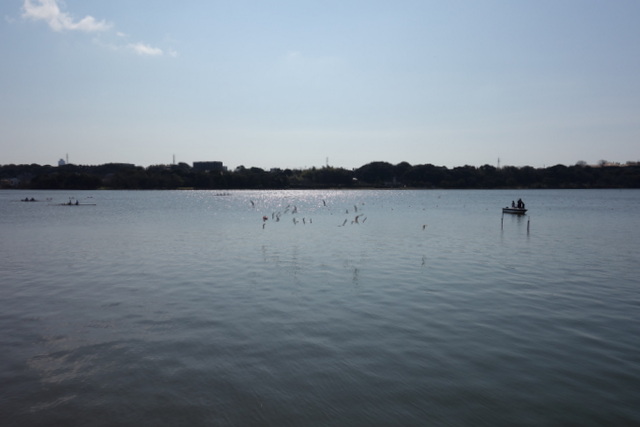 DSC00152.JPG
