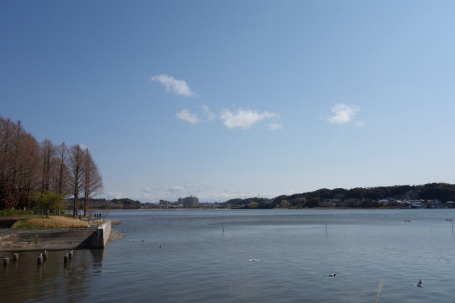 DSC00154.JPG