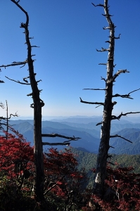 天狗に行く途中の風景