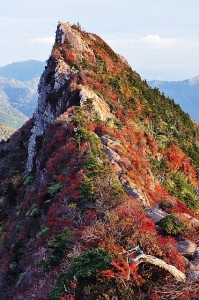 天狗岳の紅葉