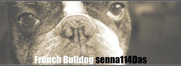 f¥Õ¥ì¥ó¥Á¥Ö¥ë¥É¥Ã¥°senna114Das