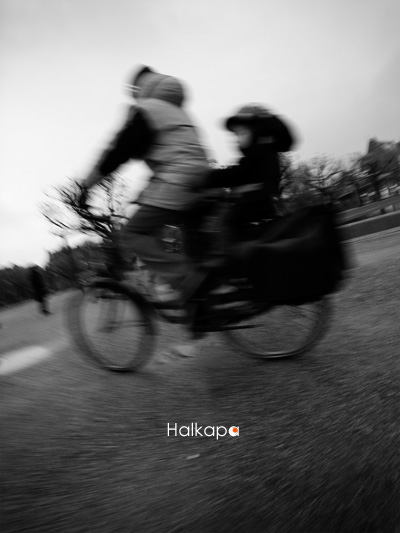 Halkapa