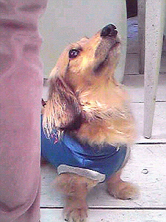 Image7026.jpg